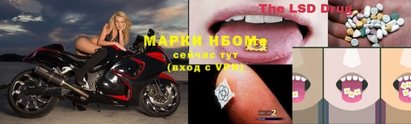 apvp Бородино