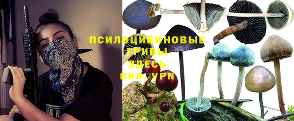 соль курить ск Бронницы