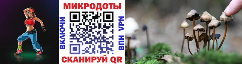 Галлюциногенные грибы прущие грибы  Морозовск 